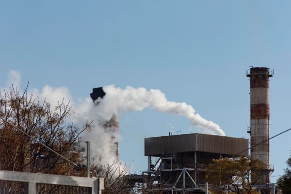 Réduction de l'Empreinte Carbone dans l'Ingénierie Civile grâce aux Matériaux Bio-sourcés