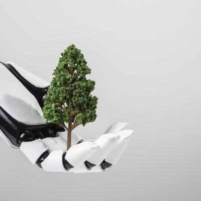 L'Ingénierie Verte : Comment les Entreprises S'adaptent aux Exigences Environnementales